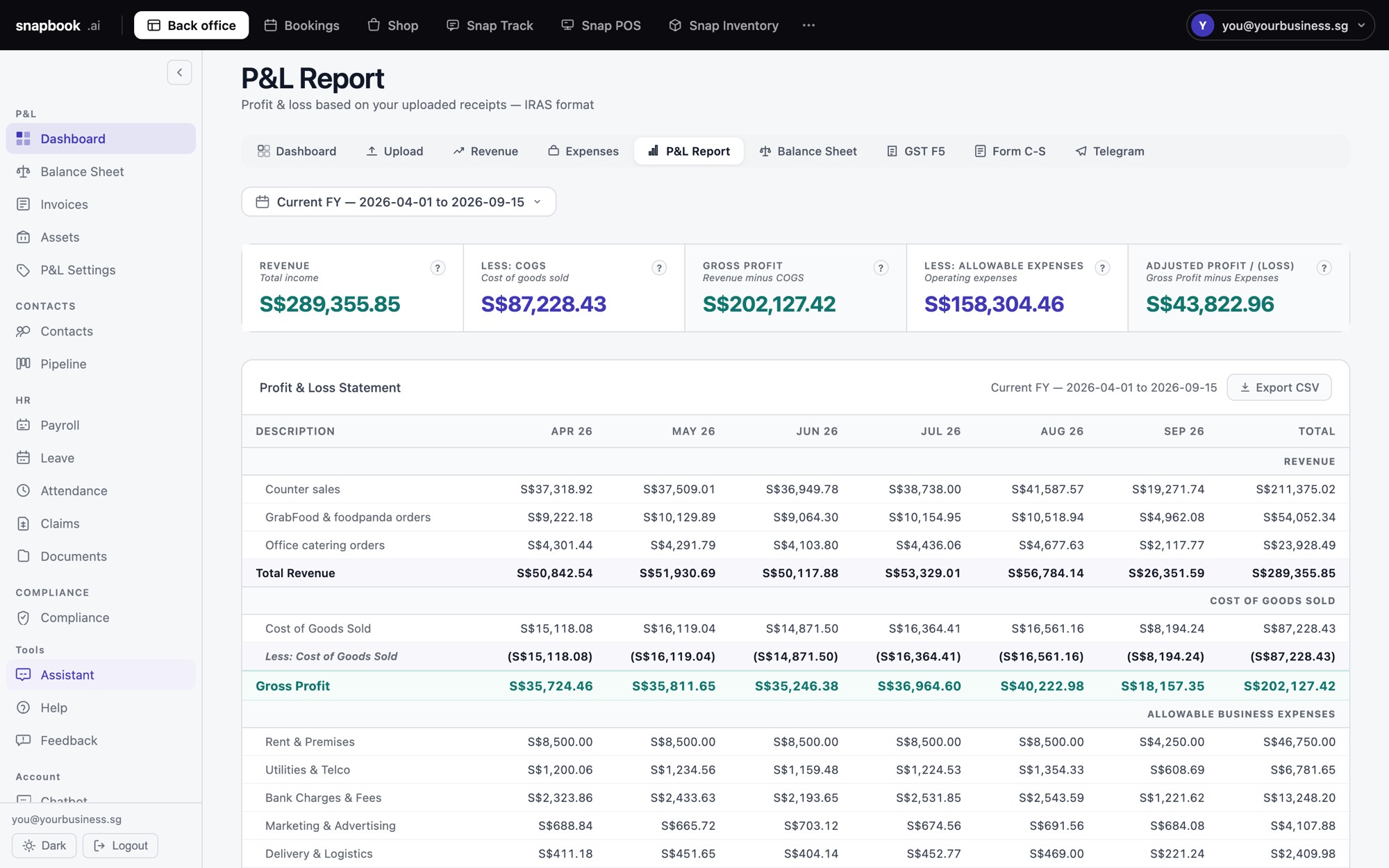 The SME AI Office P&L report: revenue, cost of goods, gross profit and each expense, month by month